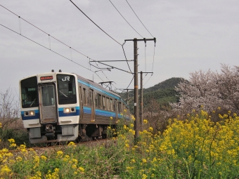 JR西日本 クハ212形 クハ212-2 鉄道フォト・写真 by FM-805Dさん 清音駅 (JR)：2024年04月07日15時ごろ