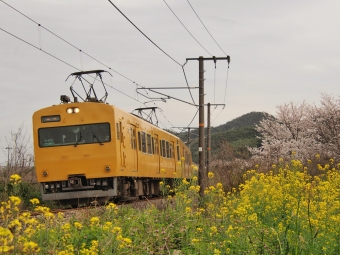 JR西日本 クモハ114形 クモハ114-1117 鉄道フォト・写真 by FM-805Dさん 清音駅 (JR)：2024年04月07日14時ごろ