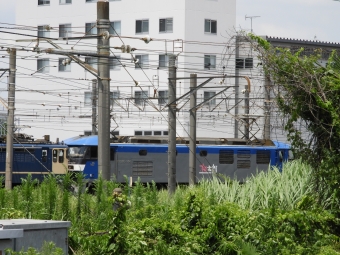 JR貨物 EF210形 EF210-105 鉄道フォト・写真 by 京橋JCTさん 新川崎駅：2021年07月20日11時ごろ