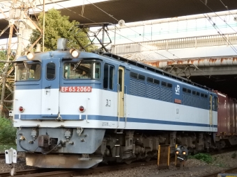 JR貨物 国鉄EF65形電気機関車 EF65-2060 鉄道フォト・写真 by 京橋JCTさん 浜川崎駅：2021年11月20日15時ごろ