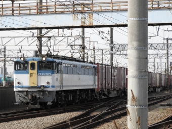 JR貨物 国鉄EF65形電気機関車 EF65-2127 鉄道フォト・写真 by 京橋JCTさん ：2022年03月31日07時ごろ