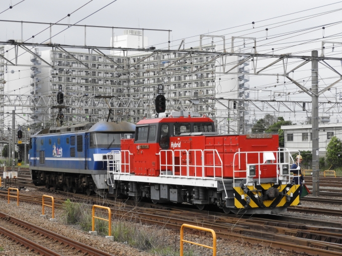 JR貨物HD300形機関車 HD300-5 鉄道フォト・写真 by 京橋JCTさん 新川崎駅：2022年06月08日14時ごろ