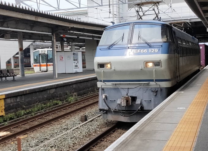 鉄道フォト・写真：JR貨物 国鉄EF66形電気機関車 EF66 27 豊橋駅 (JR) 鉄道フォト・写真 by EIKI0526さん - 撮影日 2022/09/20 14:23