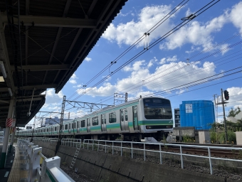 JR東日本 鉄道フォト・写真 by エビふりゃぁさん 北柏駅：2022年10月01日14時ごろ