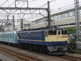 JR貨物 国鉄EF65形電気機関車 鉄道フォト・写真 by Saphir_E261さん 大船駅 (JR)：2022年06月17日09時ごろ