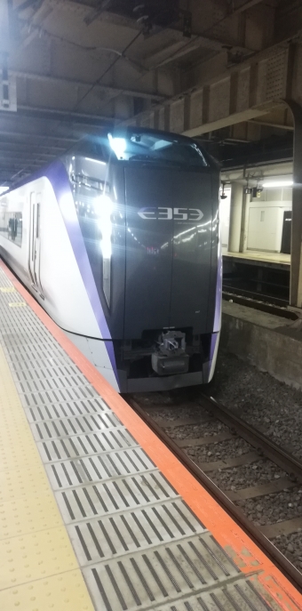 JR東日本E353系電車 かいじ(特急) 鉄道フォト・写真 by 祇園四条さん 新宿駅 (JR)：2022年09月23日15時ごろ