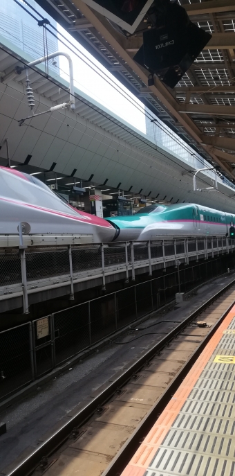 JR東日本 E5系新幹線電車 はやぶさ(新幹線) 鉄道フォト・写真 by みやこ路快速さん 東京駅 (JR)：2022年07月02日09時ごろ