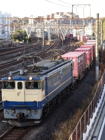 JR貨物 国鉄EF65形電気機関車 EF65-2101 鉄道フォト・写真 by 祇園四条さん 戸塚駅 (JR)：2023年03月19日06時ごろ