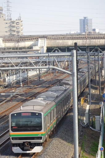 JR東日本E231系電車 湘南新宿ライン 鉄道フォト・写真 by 祇園四条さん 南浦和駅：2023年04月01日15時ごろ