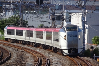 JR東日本E259系電車 鉄道フォト・写真 by 祇園四条さん ：2023年07月24日15時ごろ