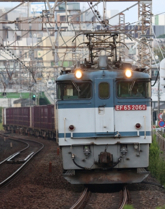 JR貨物 国鉄EF65形電気機関車 EF65-2060 鉄道フォト・写真 by 祇園四条さん 戸塚駅 (JR)：2023年10月01日06時ごろ