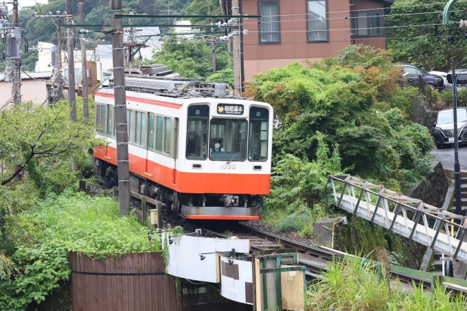 鉄道フォト・写真：小田急箱根 箱根登山鉄道1000・2000形電車 1003 箱根湯本駅 鉄道フォト・写真 by ひかみなさん - 撮影日 2022/09/23 13:07