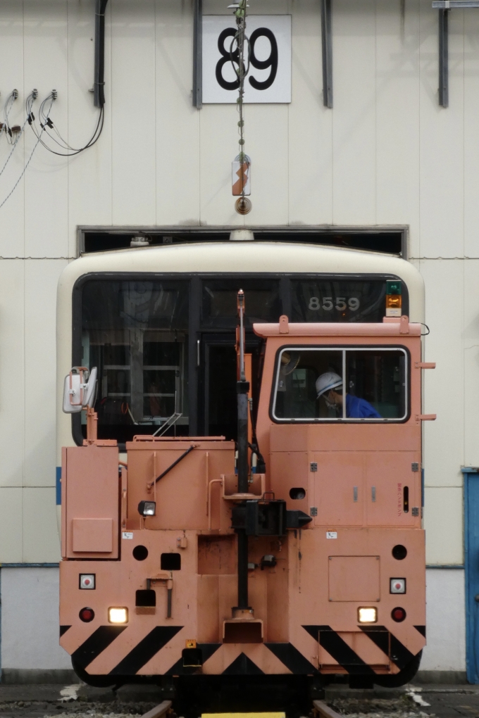 鉄道フォト・写真：小田急電鉄 小田急8000形電車 8559 大野総合車両所 鉄道フォト・写真 by おだえのさん - 撮影日 2022/11/14 11:24