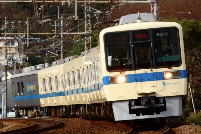 鉄道フォト・写真：小田急電鉄 小田急8000形電車 8065 玉川学園前〜鶴川 鉄道フォト・写真 by おだえのさん - 撮影日 2023/03/12 08:21