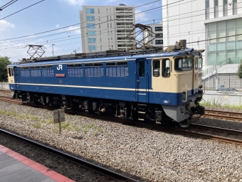 JR貨物 国鉄EF65形電気機関車 EF65 2090 鉄道フォト・写真 by (≧д≦)さん 戸塚駅 (JR)：2022年08月24日09時ごろ