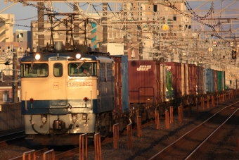 JR貨物 国鉄EF65形電気機関車 2096 鉄道フォト・写真 by ikさん 下総中山駅：2022年07月23日18時ごろ