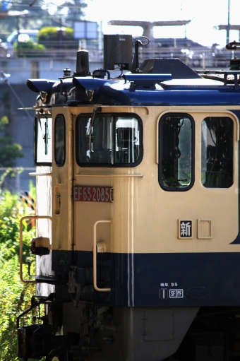 JR貨物 国鉄EF65形電気機関車 鉄道フォト・写真 by ikさん 新川崎駅：2022年07月15日15時ごろ