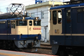 JR貨物 国鉄EF65形電気機関車 鉄道フォト・写真 by ikさん 蘇我駅：2022年07月28日17時ごろ
