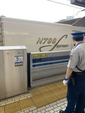 JR東海 鉄道フォト・写真 by 乗り鉄初心者さん 新横浜駅 (JR)：2022年09月22日13時ごろ