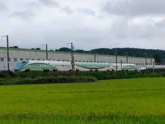 JR東日本 E3系新幹線 鉄道フォト・写真 by 仙石線ラブさん 新利府駅：2022年09月04日16時ごろ
