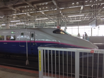 JR東日本 E224形(T2c) やまびこ(新幹線) E224-1122 鉄道フォト・写真 by 仙石線ラブさん 仙台駅 (JR)：2023年08月14日09時ごろ