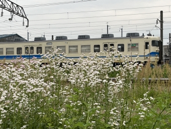 あいの風とやま鉄道 国鉄413系電車 クハ412-2 鉄道フォト・写真 by くろてつさん 富山駅 (あいの風とやま鉄道)：2022年05月21日17時ごろ