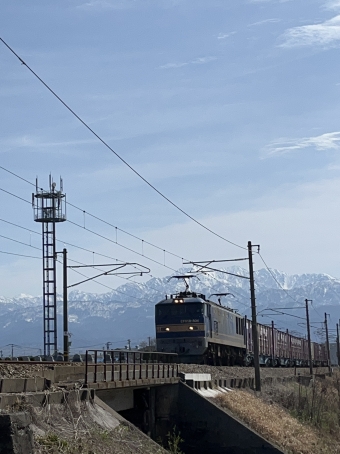 あいの風とやま鉄道 EF510形電気機関車 EF510-504 鉄道フォト・写真 by くろてつさん 水橋駅：2023年03月21日10時ごろ