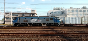 JR貨物 EF210形 EF210-134 鉄道フォト・写真 by カルロスさん 新小岩駅：2023年11月08日15時ごろ