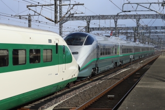 つばさ(新幹線) 鉄道フォト・写真