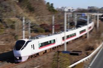 JR東日本 E657系 ときわ(特急) 鉄道フォト・写真 by 立体さん 偕楽園駅：2024年01月12日13時ごろ