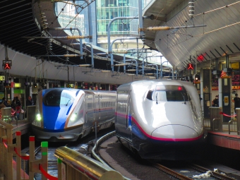 JR東日本 E2系新幹線電車 鉄道フォト・写真 by #2100keikyuさん 東京駅 (JR)：2021年12月29日10時ごろ