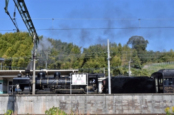 JR九州 国鉄8620形蒸気機関車 SL人吉号 鉄道フォト・写真 by じいさんパパさん 植木駅：2022年11月20日10時ごろ