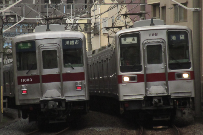 鉄道史まとめ売り 現役車両【1336形式1798車両】【全国612路線】を完全網羅!『日本の鉄道