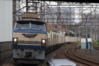 JR貨物 EF66形 クリーンかわさき EF66 27 鉄道フォト・写真 by たちばなさん 八丁畷駅 (JR)：2020年09月16日07時ごろ