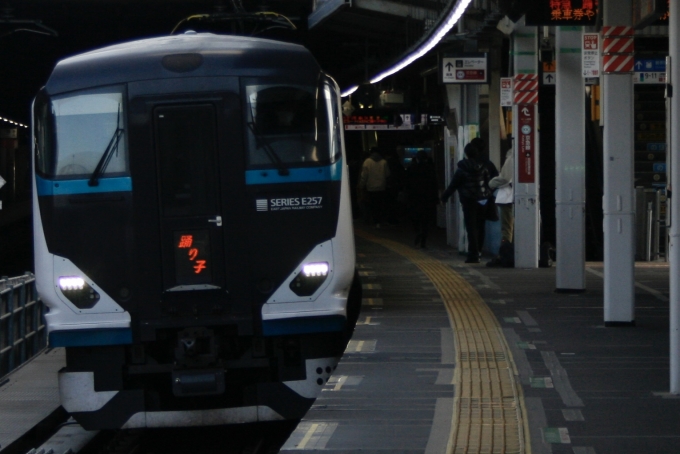 鉄道フォト・写真：JR東日本E257系電車 踊り子 クハE257-2507 品川駅 (JR) 鉄道フォト・写真 by S V Oさん - 撮影日 2023/02/23 14:50