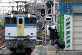 JR貨物 国鉄EF65形電気機関車 2127 鉄道フォト・写真 by S V Oさん 西船橋駅 (JR)：2023年02月23日11時ごろ