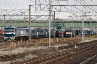 JR貨物 鉄道フォト・写真 by S V Oさん 稲沢駅：2023年03月05日17時ごろ