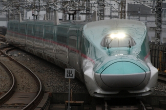JR東日本 E523形(T1c) やまびこ(新幹線) E523-31 鉄道フォト・写真 by S V Oさん 大宮駅 (埼玉県|JR)：2023年03月17日16時ごろ