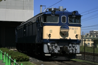 JR東日本 国鉄EF64形電気機関車 EF64-37 鉄道フォト・写真 by S V Oさん 鉄道博物館駅：2021年09月23日11時ごろ