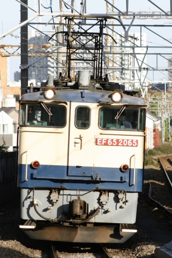 JR貨物 国鉄EF65形電気機関車 EF65-2065 鉄道フォト・写真 by S V Oさん 八丁畷駅 (JR)：2023年04月16日16時ごろ