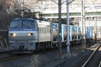 JR貨物 国鉄EF66形電気機関車 EF66-120 鉄道フォト・写真 by S V Oさん 東戸塚駅：2022年02月26日14時ごろ