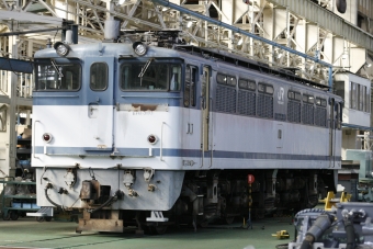 JR貨物 国鉄EF65形電気機関車 EF65-2093 鉄道フォト・写真 by S V Oさん 大宮駅 (埼玉県|JR)：2023年11月25日13時ごろ