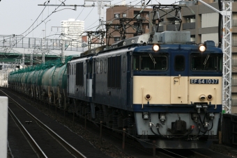 JR貨物 国鉄EF64形電気機関車 EF64 1037 鉄道フォト・写真 by S V Oさん 鶴舞駅 (JR)：2023年12月31日14時ごろ