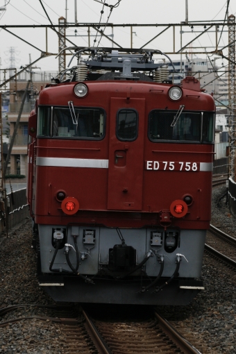 JR東日本 国鉄ED75形電気機関車 ED75 鉄道フォト・写真 by S V Oさん 南浦和駅：2024年03月05日10時ごろ