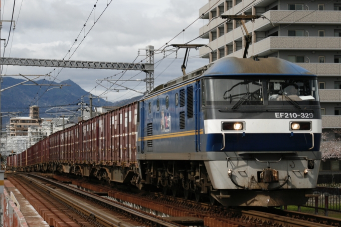 鉄道フォト・写真：JR貨物EF210形電気機関車 EF210-329 修大協創中高前駅 鉄道フォト・写真 by S V Oさん - 撮影日 2024/04/04 10:27