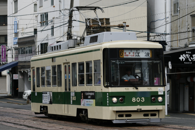 広島電鉄 803 (広電800形) 車両ガイド | レイルラボ(RailLab)