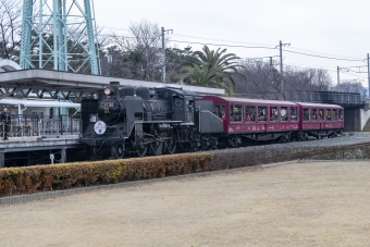 JR西日本 C56形 SLスチーム C56 160 鉄道フォト・写真 by hackberryさん 京都駅 (JR)：2019年02月03日13時ごろ