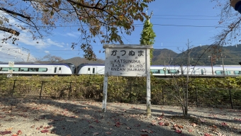 JR東日本E353系電車 鉄道フォト・写真 by ガサキ鉄道さん 勝沼ぶどう郷駅：2023年11月12日13時ごろ