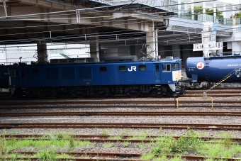 JR東日本 EF64-1031 鉄道フォト・写真 by エースさん さいたま新都心駅：2022年08月24日13時ごろ