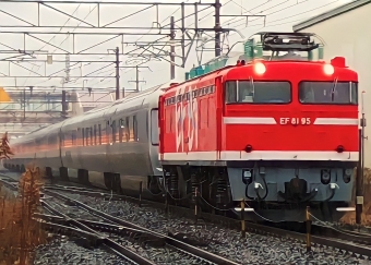 JR東日本E26系客車 EF81-95 鉄道フォト・写真 by ストリームさん 南仙台駅：2023年03月26日15時ごろ